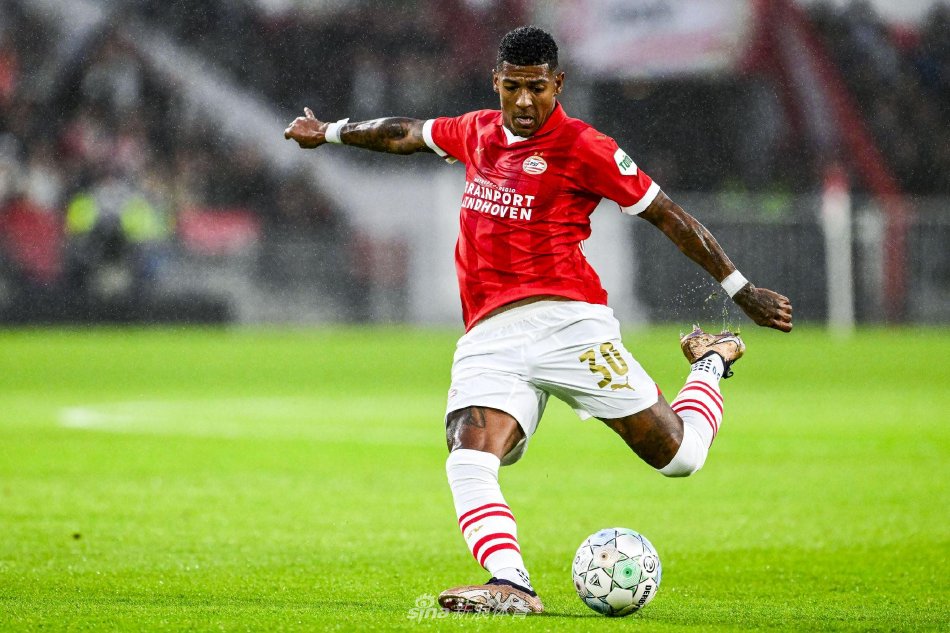 塔罗引领国 塔罗引领国